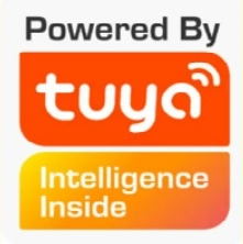 Tuya certification