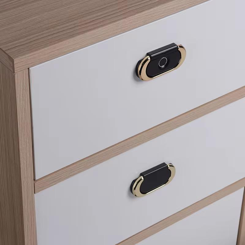 F022 Smart Cabinet Lock