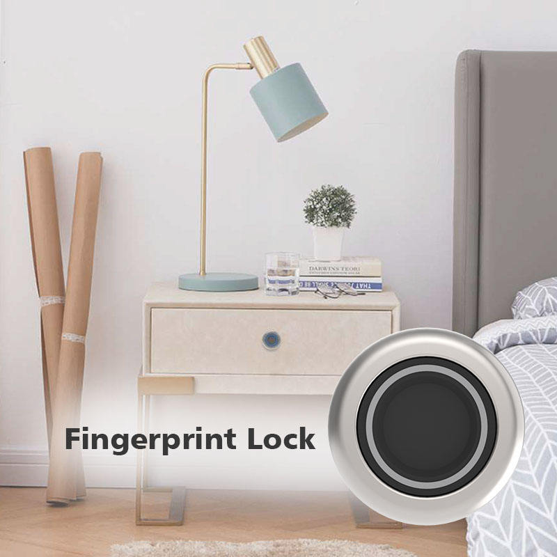 F033 Smart Cabinet Lock