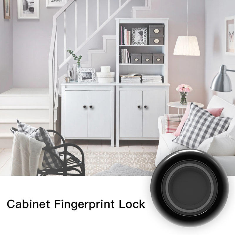 F033 Smart Cabinet Lock