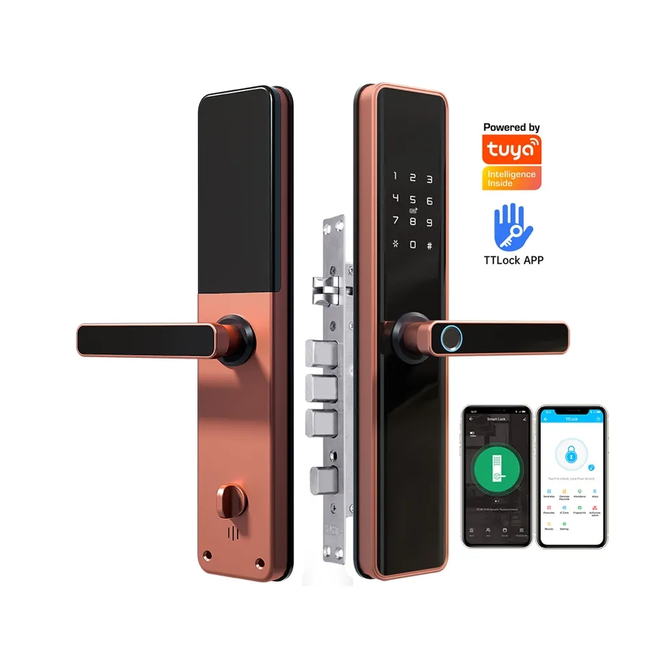 PL-M1 Smart Locks