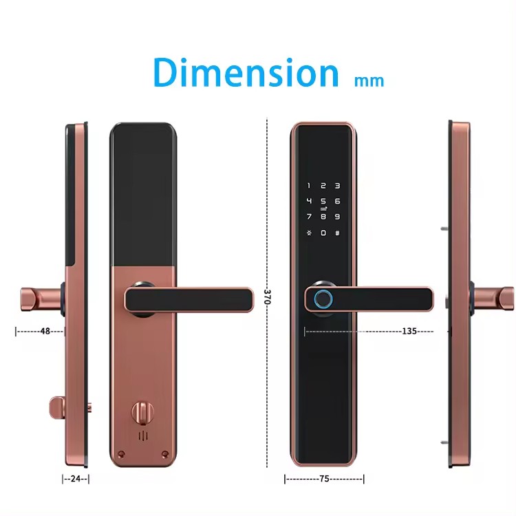 PL-M1 Smart Locks