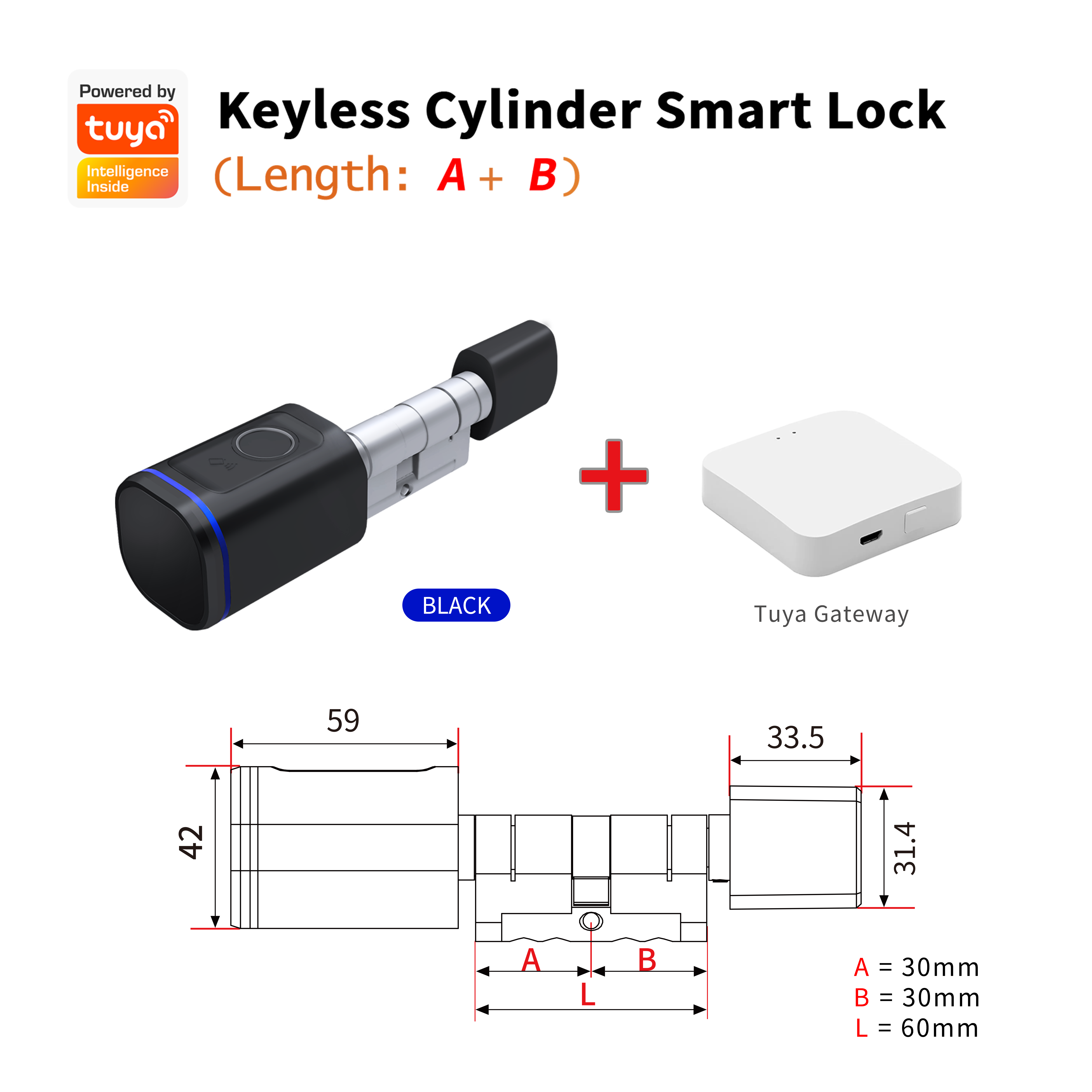 PL-L31 Smart Upgrades